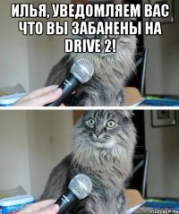 Илья, уведомляем Вас что вы забанены на Drive 2! 