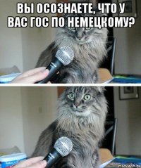 Вы осознаете, что у вас гос по немецкому? 