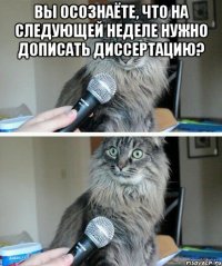 Вы осознаёте, что на следующей неделе нужно дописать диссертацию? 