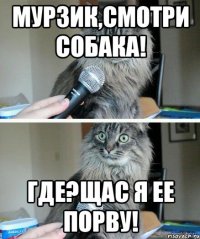 Мурзик,смотри собака! Где?Щас я ее порву!