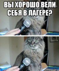 Вы хорошо вели себя в лагере? 