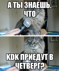 А ты знаешь, что KDK приедут в четверг?