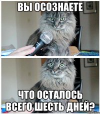 Вы осознаете что осталось всего шесть дней?