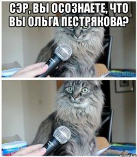 Сэр, вы осознаете, что вы Ольга Пестрякова? 