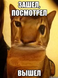 зашел, посмотрел вышел