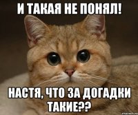 И такая не понял! Настя, что за догадки такие??