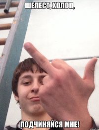 Шелест, холоп, Подчиняйся мне!