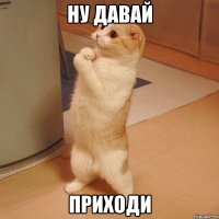 ну давай приходи