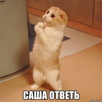  Саша ответь