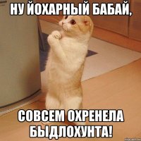 НУ ЙОХАРНЫЙ БАБАЙ, СОВСЕМ ОХРЕНЕЛА БЫДЛОХУНТА!