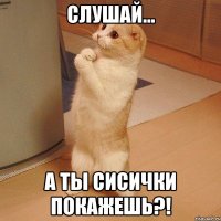 Слушай... А ты сисички покажешь?!