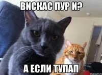 вискас пур и? а если тупап