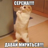 Сережа!!!! Давай мириться!!!