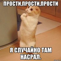 Прости,прости,прости Я случайно там насрал.