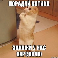 порадуй котика закажи у нас курсовую