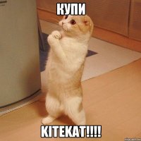 Купи kitekat!!!!