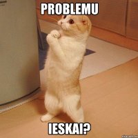 Problemu Ieskai?