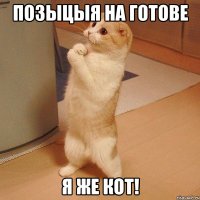 позыцыя на готове я же кот!