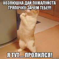 Хозяюшка дай пожалуйста тряпочку. Зачем тебе!!! Я тут.... Пролился!