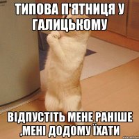 типова п'ятниця у галицькому відпустіть мене раніше ,мені додому їхати