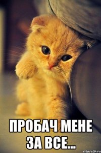  Пробач мене за все...