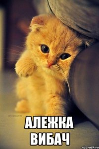  Алежка вибач