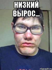 Низкий вырос... 