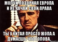 молчи позорная Европа и не качай свои права ты у Китая просто жопа а думаешь что голова.