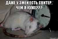 Даже у змеи есть свитер. Чем я хуже??? 