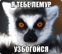 Я тебе лемур УЗБОГОЙСЯ