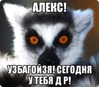 алекс! узбагойзя! сегодня у тебя д р!