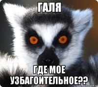 Галя Где мое узбагоительное??