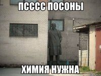 псссс посоны химия нужна