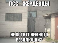 псс... Жердевцы не хотите немного революции?