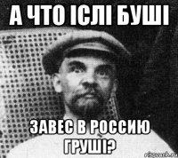 A что icлi Бушi завес в Россию грушi?