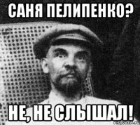 саня пелипенко? не, не слышал!