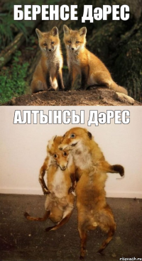 беренсе дәрес алтынсы дәрес