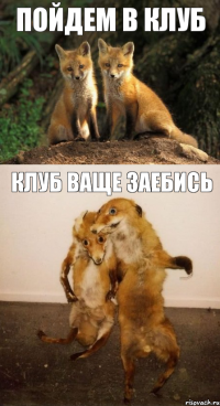 пойдем в клуб клуб ваще заебись