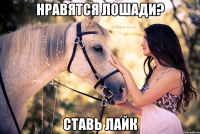 Нравятся лошади? Ставь лайк