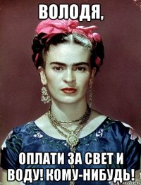 Володя, оплати за свет и воду! Кому-нибудь!