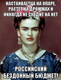 Настаиваетца на опаре, растёт на дрожжах и никогда не сходит на нет российский бездонный бюджет!