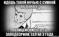 идешь такой ночью с сумкой по дороге, полицейские что-то заподозрили, сел на 3 года