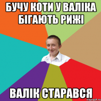 Бучу Коти У Валіка Бігають Рижі Валік Старався