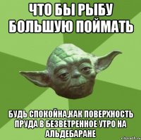 что бы рыбу большую поймать будь спокойна,как поверхность пруда в безветренное утро на Альдебаране
