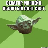 Сенатор Маккейн. Вылитый.свят свят. 