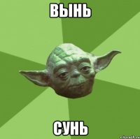 вынь сунь