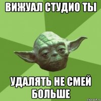 Вижуал студио ты удалять не смей больше