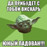 да прибудет с тобой вискарь юный падован!!!