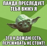 панда преследует тебя вижу я это к дождю есть, переживать не стоит!