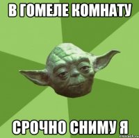 в гомеле комнату срочно сниму я